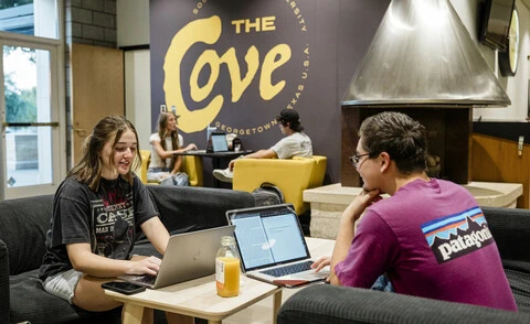 Students studying in The Cove